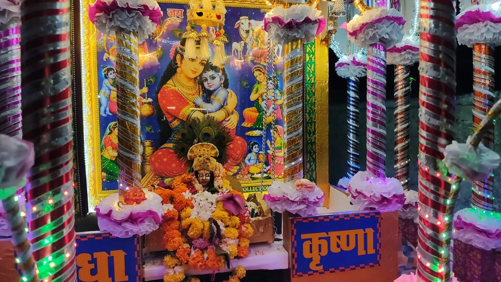 बाबड़िया भाऊ में निकली डोल यात्रा, सुसज्जित विमान में भगवान श्रीकृष्ण ने किया पूरे गांव का भ्रमण