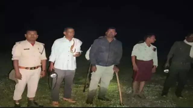 उमरिया के पठारी गांव में 15 हाथियों ने रौंदी किसानों की तीन एकड़ फसल, फॉरेस्ट टीम ने 4 घंटे में जंगल की तरफ खदेड़ा