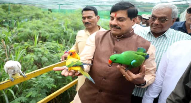 सीएम डॉ मोहन यादव पहुँचे चिड़ियाघर- पक्षी विहार का किया दौरा