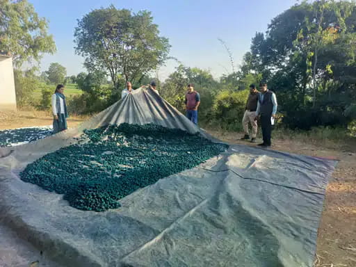 अवैध पटाखा माफिया पर प्रशासन का प्रहार, फैक्ट्रियां सील, गोदाम जमींदोज