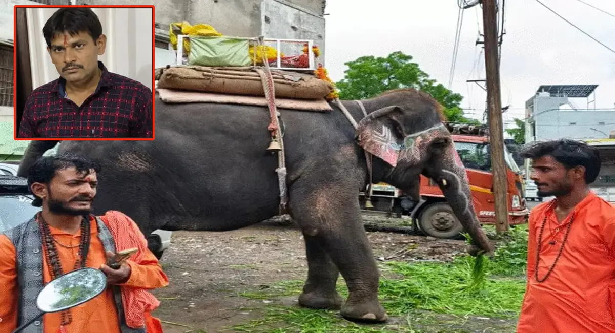 बेकाबू हाथी ने ऑटो चालक को कुचला, इलाज के दौरान मौत; 15 महावत भी नहीं कर सके काबू