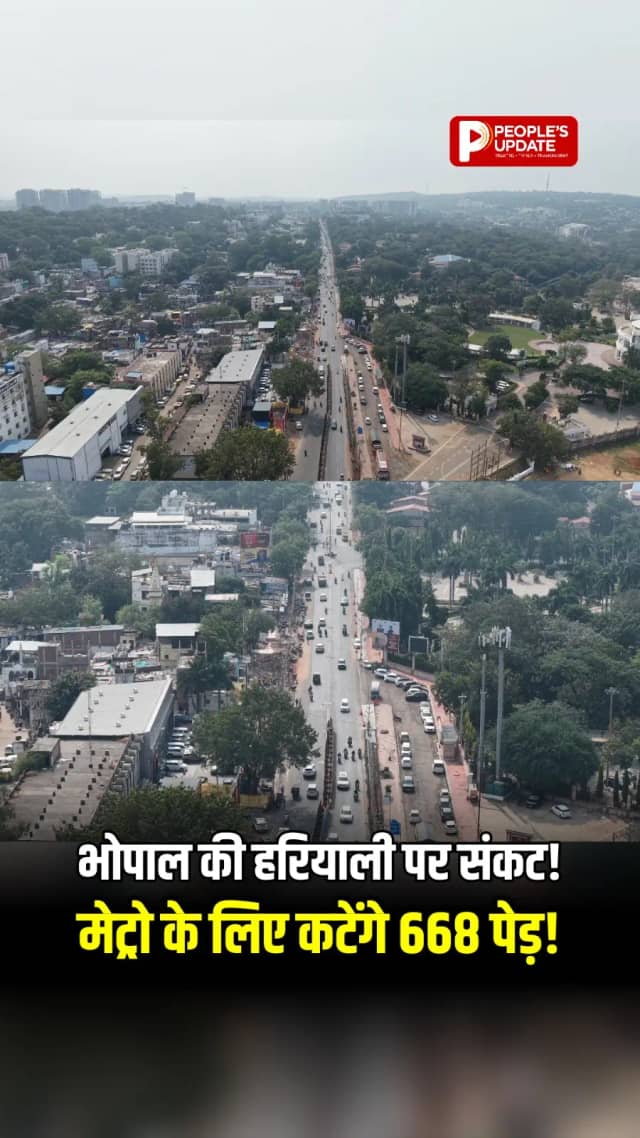 भोपाल मेट्रो ब्लू लाइन के लिए कटेंगे 668 पेड़? हरियाली पर बढ़ी चिंता