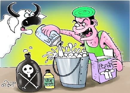 दूध में मिलाए जा रहे नुकसानदेह केमिकल, आरारोट और बेहिसाब पानी, 419 में से 154 सैंपल फेल