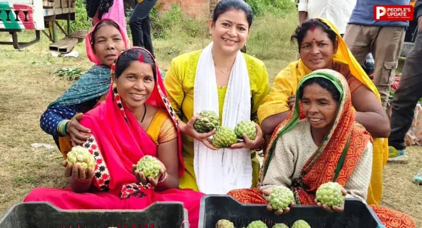 सिवनी के जंबो सीताफल की मिठास अब दुबई तक पहुंचेगी, 31 अक्टूबर को पहली खेप होगी रवाना