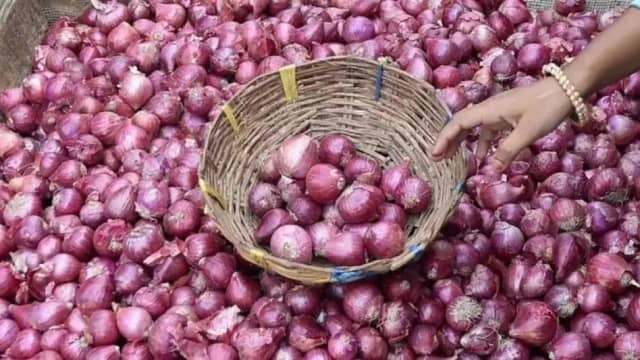 केंद्र सरकार ने नान मार्कफेड से कराई खरीदी, 10 साल बाद भी नहीं दिए 50 करोड़ से ज्यादा..!