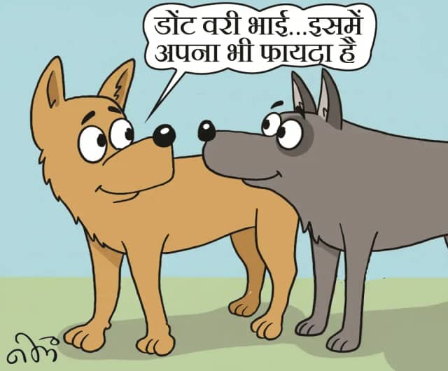 बाघों को डॉग्स के वायरस से बचाने CDV के अलावा 7 और वैक्सीन लगेंगे