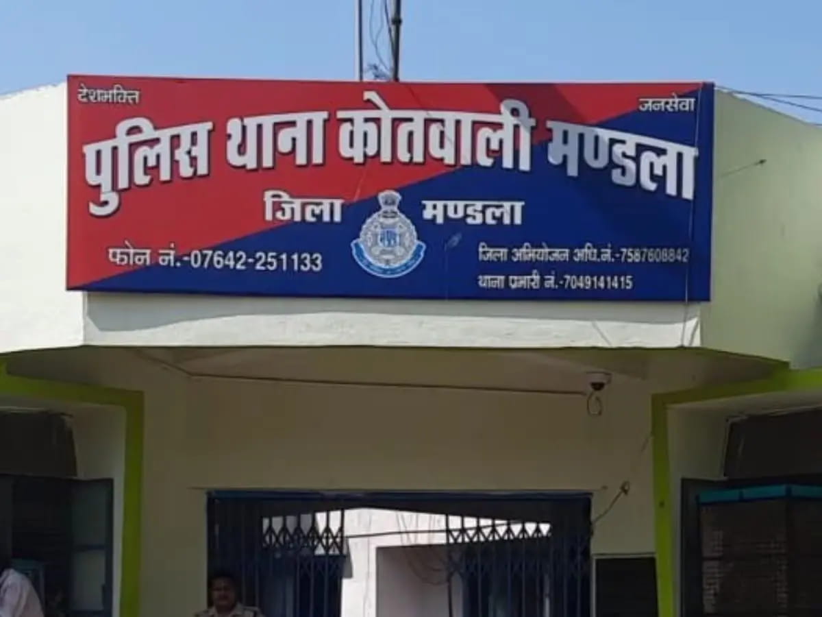 बारात के कारण सड़कों पर जाम लगा तो दूल्हे को होगी जेल!