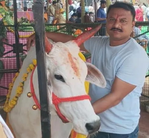ग्वालियर के शेखर ने तीन साल में 800 गाय तस्करों से छुड़वाई, बीमार गायों की करते हैं सेवा