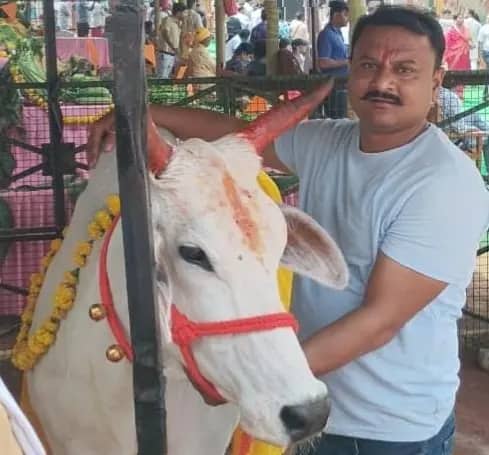 ग्वालियर के शेखर ने तीन साल में 800 गाय तस्करों से छुड़वाई, बीमार गायों की करते हैं सेवा
