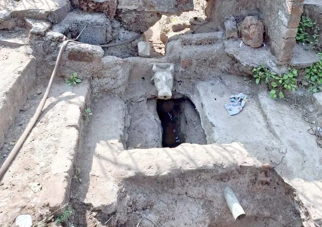 बेतवा को जिंदा करने का प्लान नहीं उतरा जमीन पर, झिरी गांव में फिर सूखी जलधारा