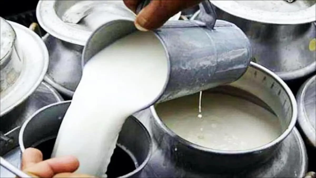 मिलावटी दूध पीने से गई 13 लोगों की जान, 7 लोग गंभीर रूप से बीमार