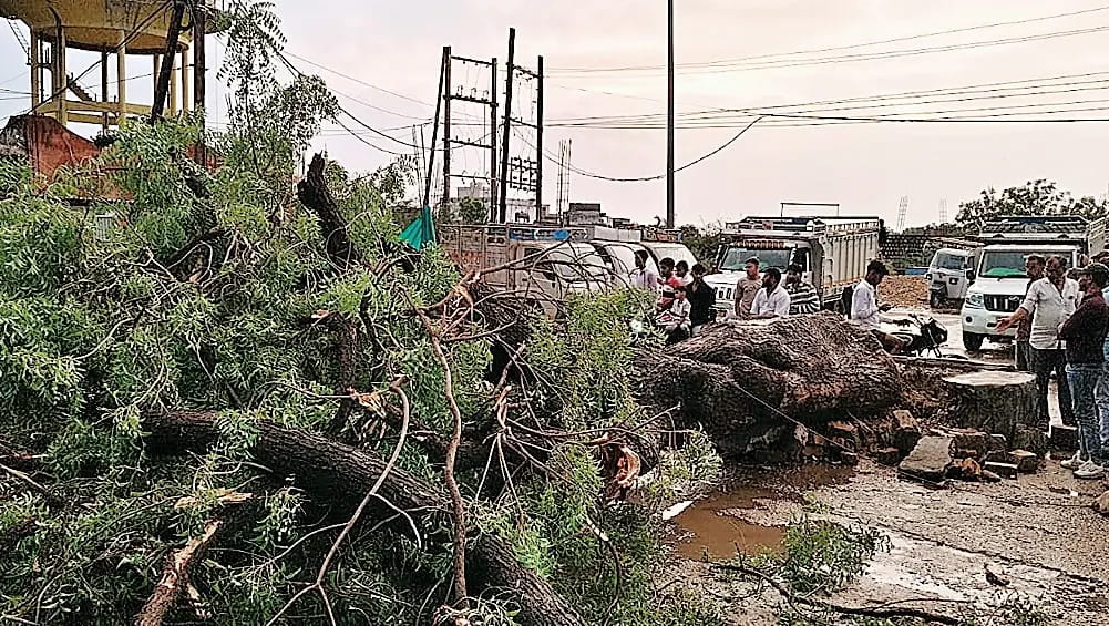 तेज आंधी-बारिश से पेड़ गिरा, बेटे की मौत, मां-बेटी घायल