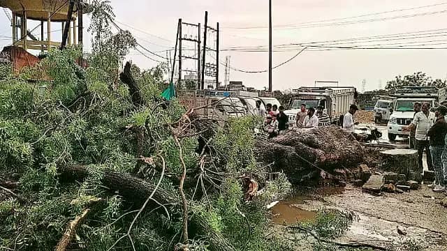 तेज आंधी-बारिश से पेड़ गिरा, बेटे की मौत, मां-बेटी घायल