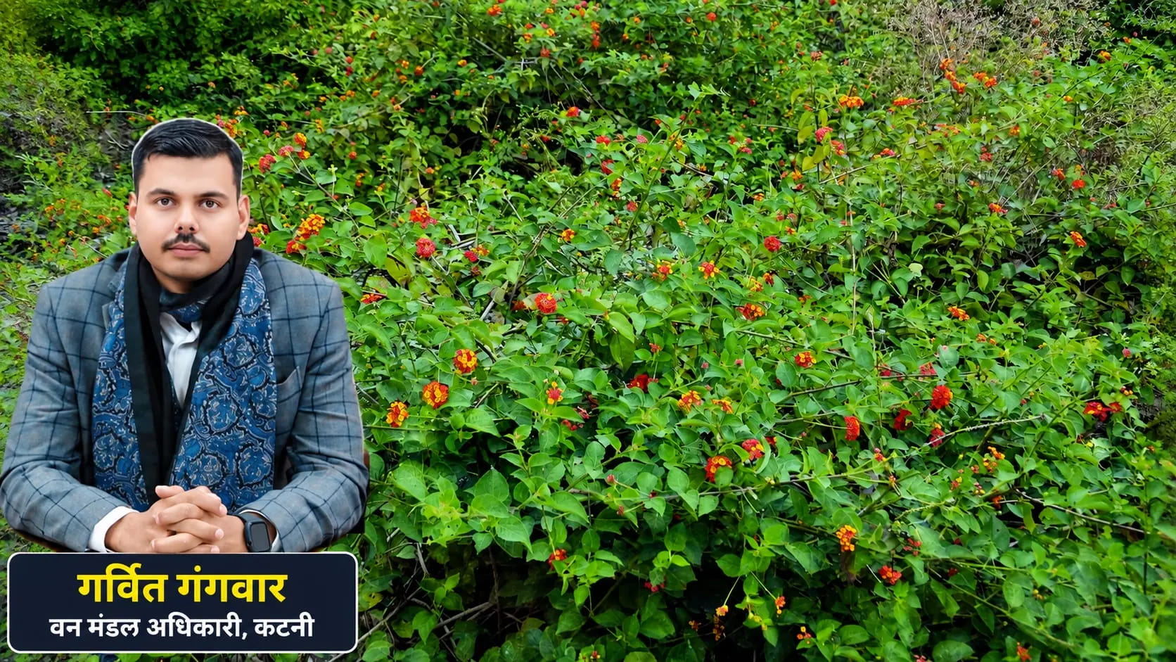 जंगलों का 'कैंसर' अब लाएगा रोजगार, लैंटाना झाड़ी से बनेगी खाद और बायो-ईंधन