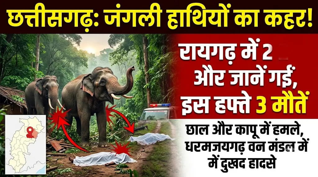 छत्तीसगढ़ के धरमजयगढ़ में हाथियों के हमलों में दो लोगों की मौत