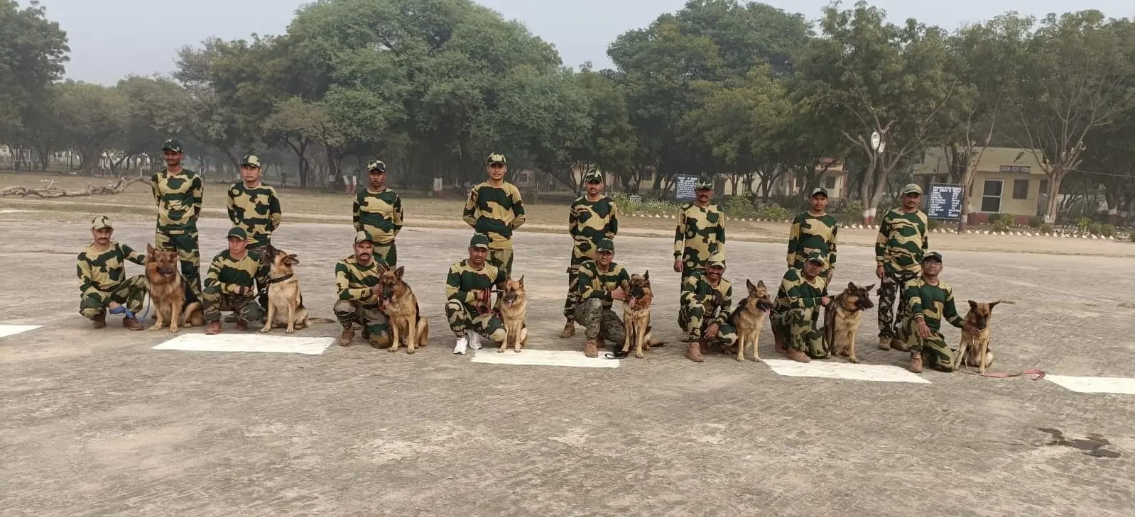 बाघों के घर में अब स्निफर डॉग और टीम के लिए जासूसी की लगेगी पाठशाला