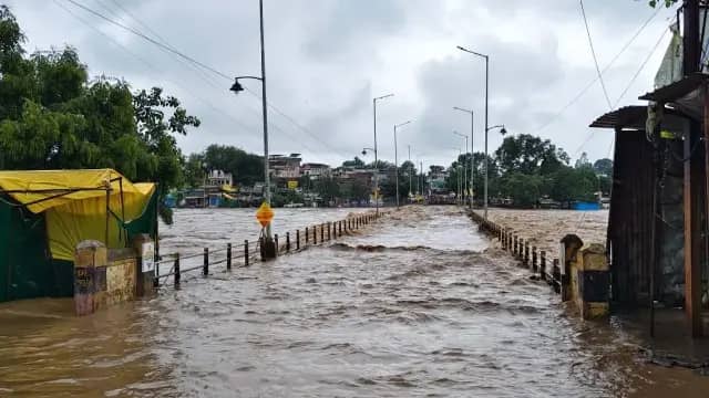 भीगा पूर्वी मप्र-डिंडौरी में 9 घंटे में 6 इंच पानी; कच्चा मकान ढहने से मासूम की मौत, बालाघाट में सवा 2 इंच बरसा, उमरिया में जोहिला डेम के 6 गेट खोले