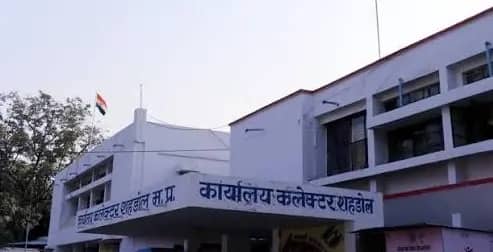 शहडोल में 15 दिन से ज्यादा ठहरने पर पुलिस की रहेगी नजर, कलेक्टर का नया आदेश