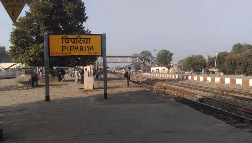 पिपरिया के पास OHE लाइन पर बंदरों का उत्पात, इटारसी-जबलपुर के बीच बंद रहा रेल यातायात