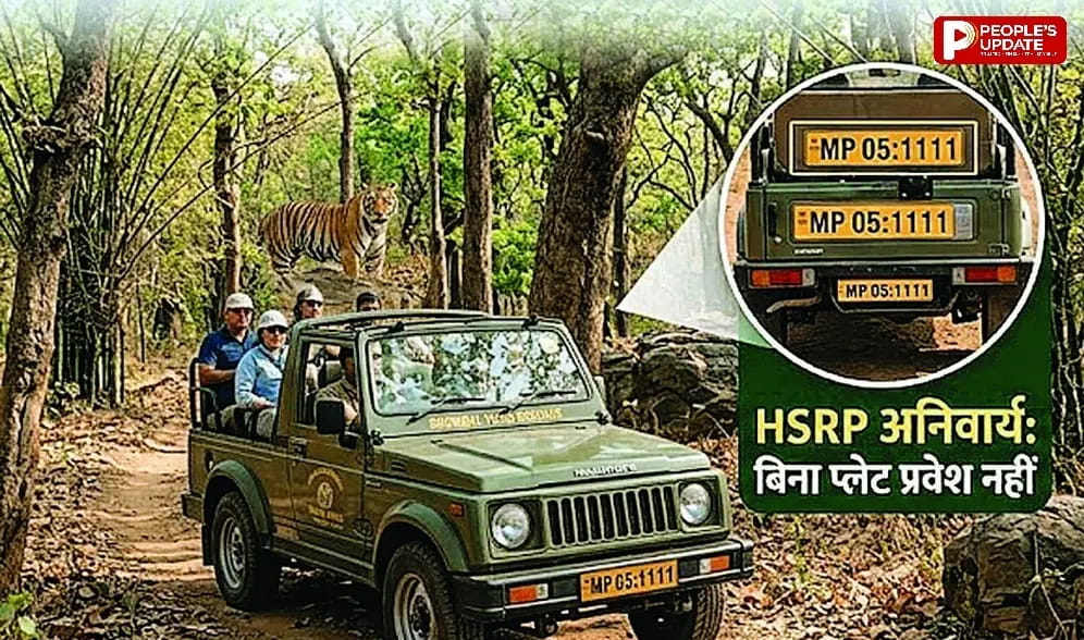 बिना 'हाई सिक्योरिटी नंबर प्लेट' नहीं मिलेगी टाइगर रिजर्व में एंट्री, सफारी वाहनों पर सख्त हुआ पार्क प्रबंधन