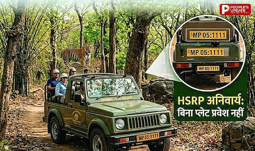 बिना 'हाई सिक्योरिटी नंबर प्लेट' नहीं मिलेगी टाइगर रिजर्व में एंट्री, सफारी वाहनों पर सख्त हुआ पार्क प्रबंधन
