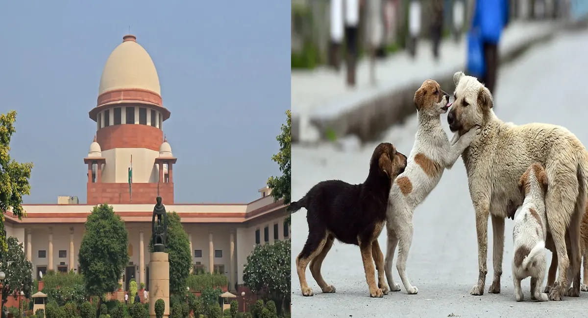 आदेशों का पालन न करने पर सुप्रीम कोर्ट नाराज, राज्यों को लगाई फटकार