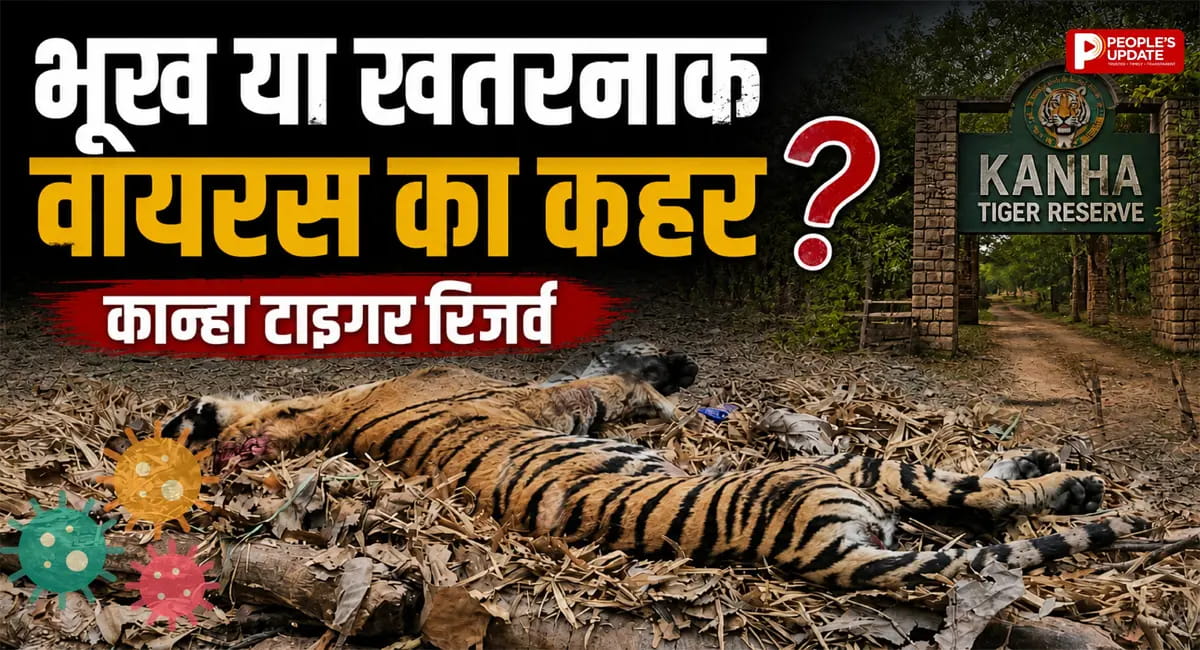 शावकों की मौत से शुरू हुआ सिलसिला, आखिर किस वायरस ने ली बाघिन की जान?