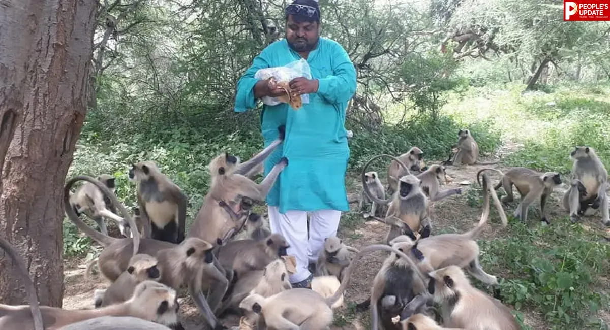 17 साल से बंदरों की भूख मिटा रहे स्वप्निल, सोशल मीडिया पर ‘मंकी मैन’ की सेवा ने जीता लोगों का दिल