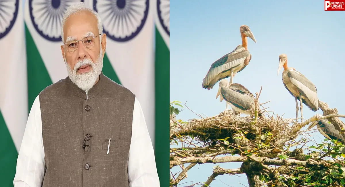 PM Modi ने मन की बात में सुनाई हरगिला की प्रेरक कहानी, बदली गांवों की सोच