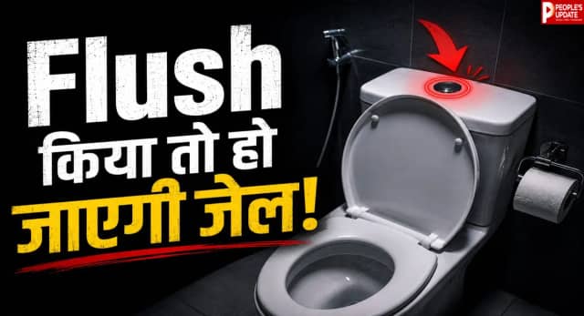 रात 10 बजे टॉयलेट फ्लश करने पर जेल? स्विट्जरलैंड का अनोखा नियम! जानिए इसके पीछे की वजह