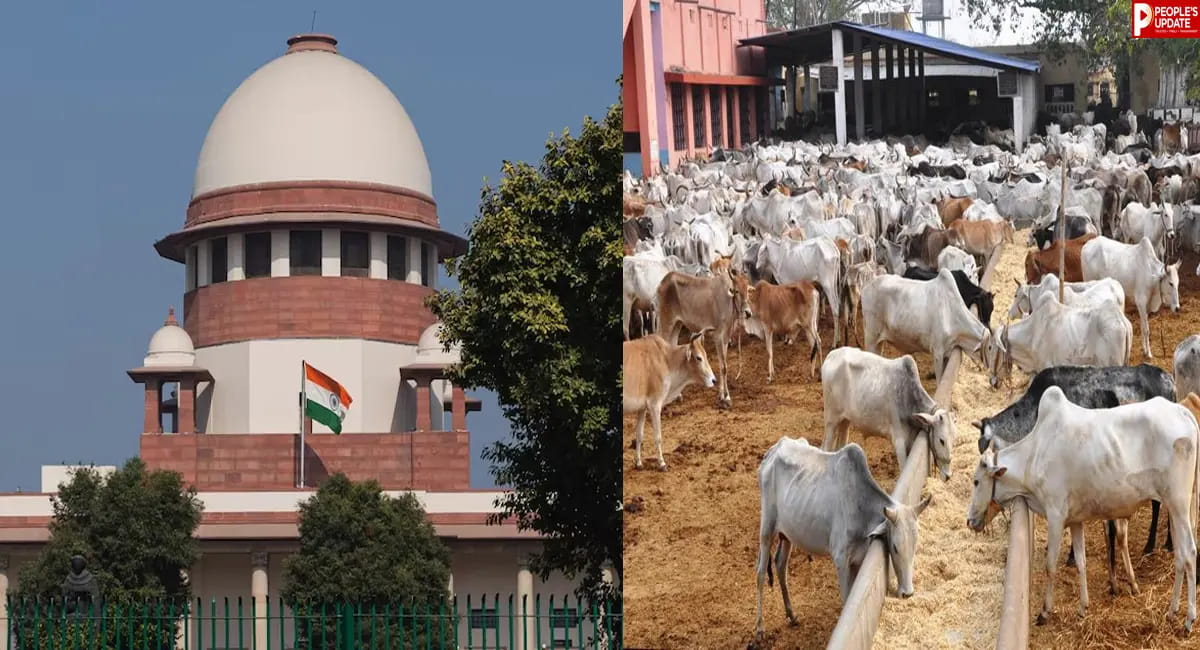 तमिलनाडु में गौहत्या बैन पर सुप्रीम कोर्ट का बड़ा फैसला, हाईकोर्ट के आदेश पर लगाई रोक