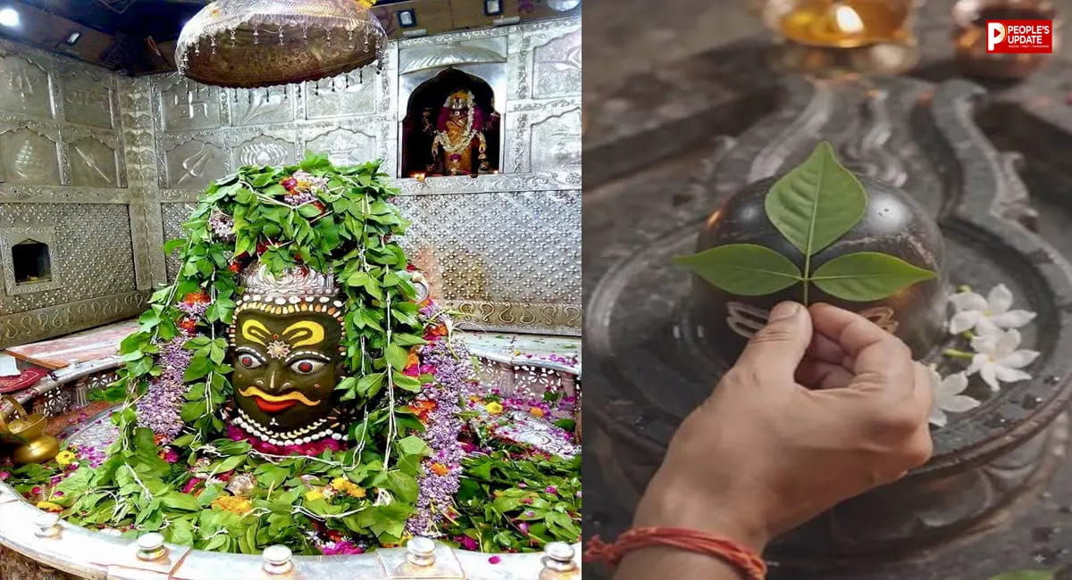 सावन से पहले अपनाएं ये आसान तरीका, तेजी से आएंगी नई पत्तियां