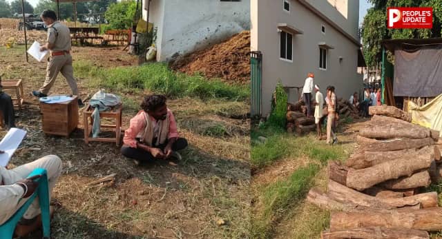 हरदा में अवैध सागौन की तस्करी का खुलासा, एक आरोपी पकड़ाया और चार फरार