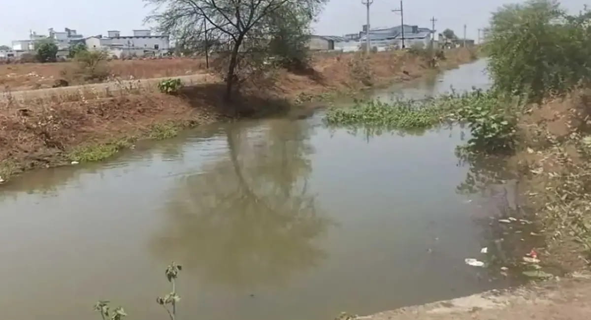 तेज बहाव ने छीनी जिंदगी, भाटापारा नहर में 3 बच्चे बहे, एक की मौत