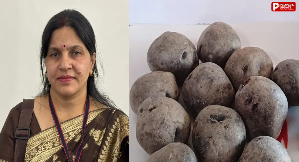 अब स्वाद के साथ थाली में सजेंगे पोषक तत्वों से भरपूर 'काले आलू', कैंसर, शुगर और हार्ट की बीमारियों का जोखिम कम करेगी