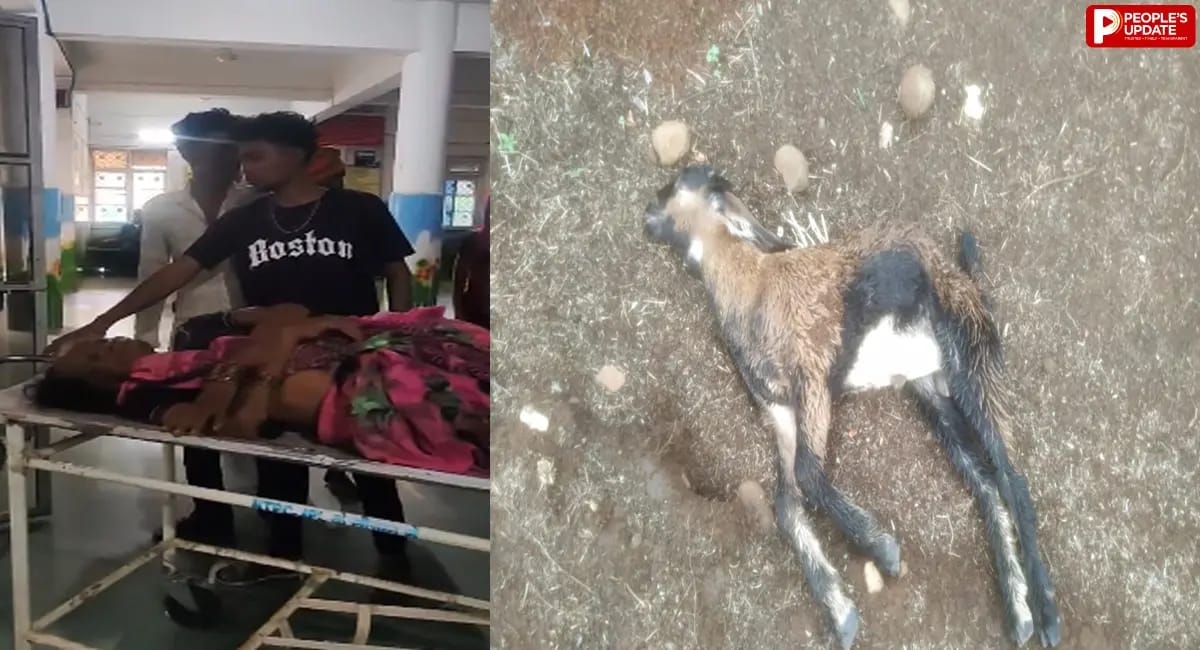 बिजली गिरने से महिला झुलसी, गंभीर हालत में इलाज जारी, 2 बकरियों की मौत