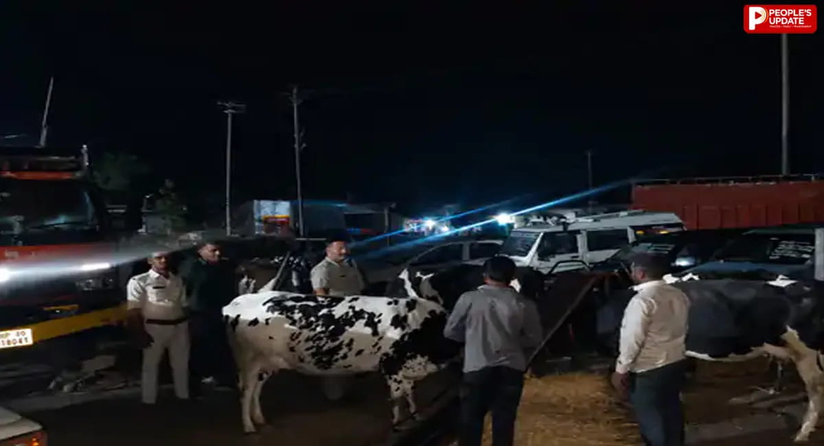 10 गायें मुक्त; महाराष्ट्र ले जाई जा रही थी, चार तस्कर गिरफ्तार