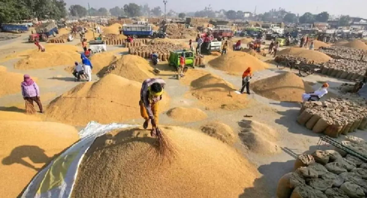 किसानों के लिए क्यों है जरूरी, जानिए इसे लेकर बार-बार क्यों होता है आंदोलन?