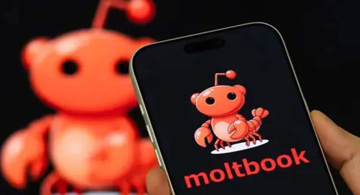 क्या है Moltbook जहां AI बॉट्स कर रहे बातचीत?