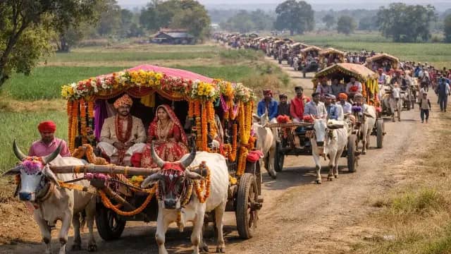 पन्ना की अनोखी शादी बनी चर्चा का विषय