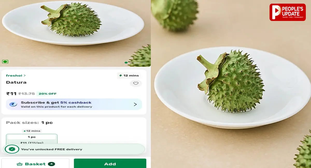 Amazon,Swiggy Instamart और BigBasket प्लेटफॉर्म पर गिरी गाज, ऑनलाइन बिक रहा था जहरीला धतूरा!