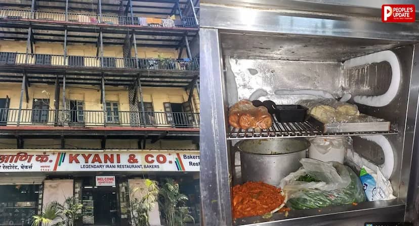 122 साल पुराने मशहूर कैफे में निकली गंदगी की ऐसी तस्वीर, बिल्लियां-चूहे और कॉकरोच मिले; FSSAI लाइसेंस सस्पेंड