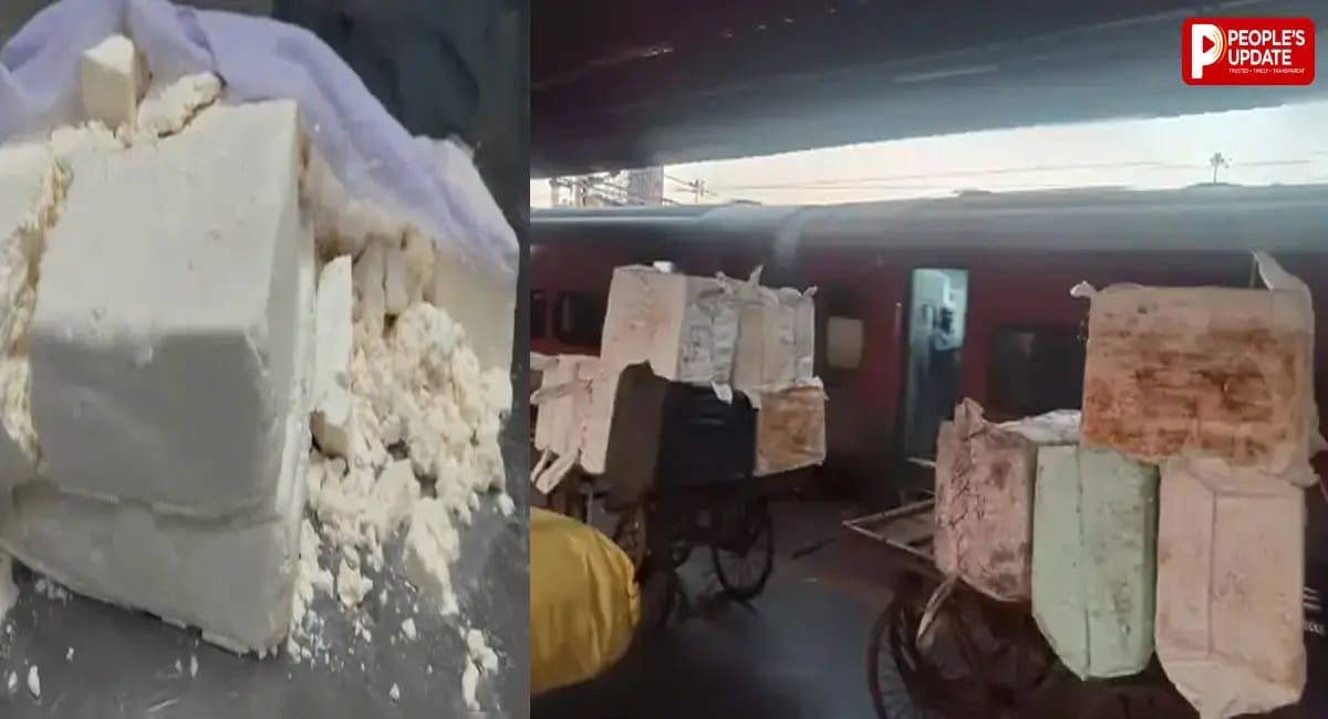 भोपाल रेलवे स्टेशन के बाहर 700 Kg एनालॉग पनीर जब्त, कीमत 2.5 लाख रुपए; मुरैना से ट्रेन के जरिए पहुंचा था माल
