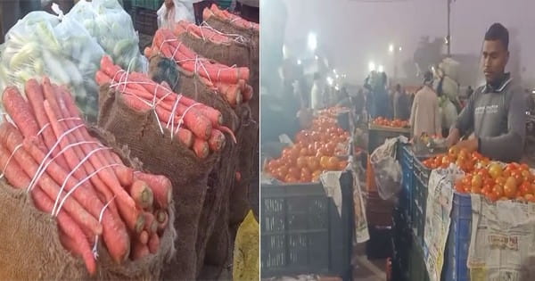 इंदौर : सब्जियों पर दिखा बस-ट्रक चालकों की हड़ताल का असर... चोइथराम मंडी में तीन से चार गुना बढ़े भाव, देखें VIDEO