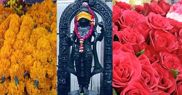 राम रंग में रंगा प्रदेश लेकिन फूलों पर महंगाई की मार, प्राण प्रतिष्ठा से पहले तीन गुना हुए दाम, हो रही एडवांस बुकिंग, देखें VIDEO