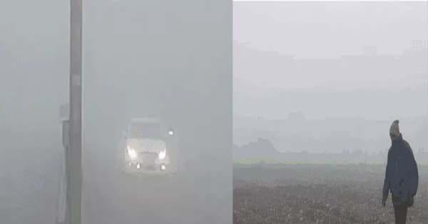 MP Weather Update : प्रदेश में कड़ाके की ठंड, 17 शहरों में रात का तापमान 10 डिग्री से कम, कई जिलों में हुई बारिश