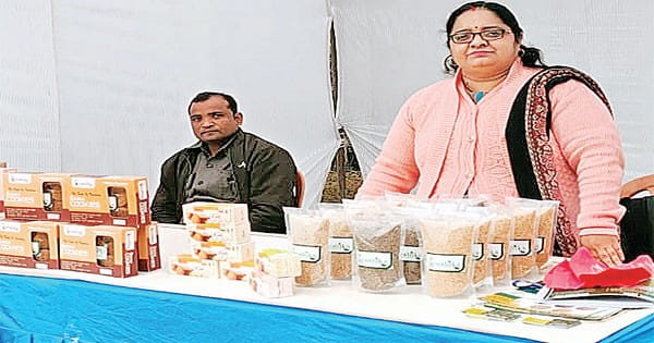 बाजरा से आइसक्रीम बनाने वाले भोपाल के स्टार्टअप को IIM से मिली ग्रांट