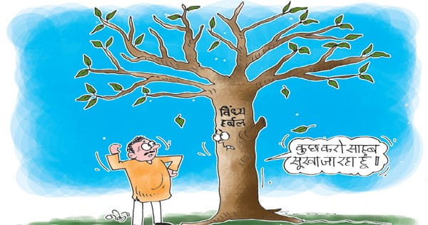तीन साल पहले की गई प्रदेश के तत्कालीन वन मंत्री की घोषणा बेअसर, वन मेले में हर्बल उत्पादों की बिक्री 3 करोड़ से घटकर 60 लाख रु. तक हुई