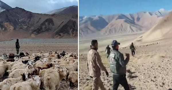 VIDEO : लद्दाख में LAC के पास चीनी सैनिकों से भिड़े चरवाहे, भेड़ चराने से रोका तो डटकर दिया जवाब, कहा- ये भारतीय जमीन...