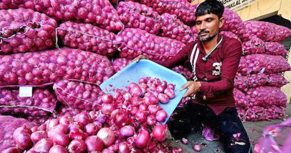 चुनावी दौर के बीच सरकार ने प्याज एक्सपोर्ट से बैन हटाया, 45,800 से कम में नहीं बेच सकेंगे एक टन प्याज